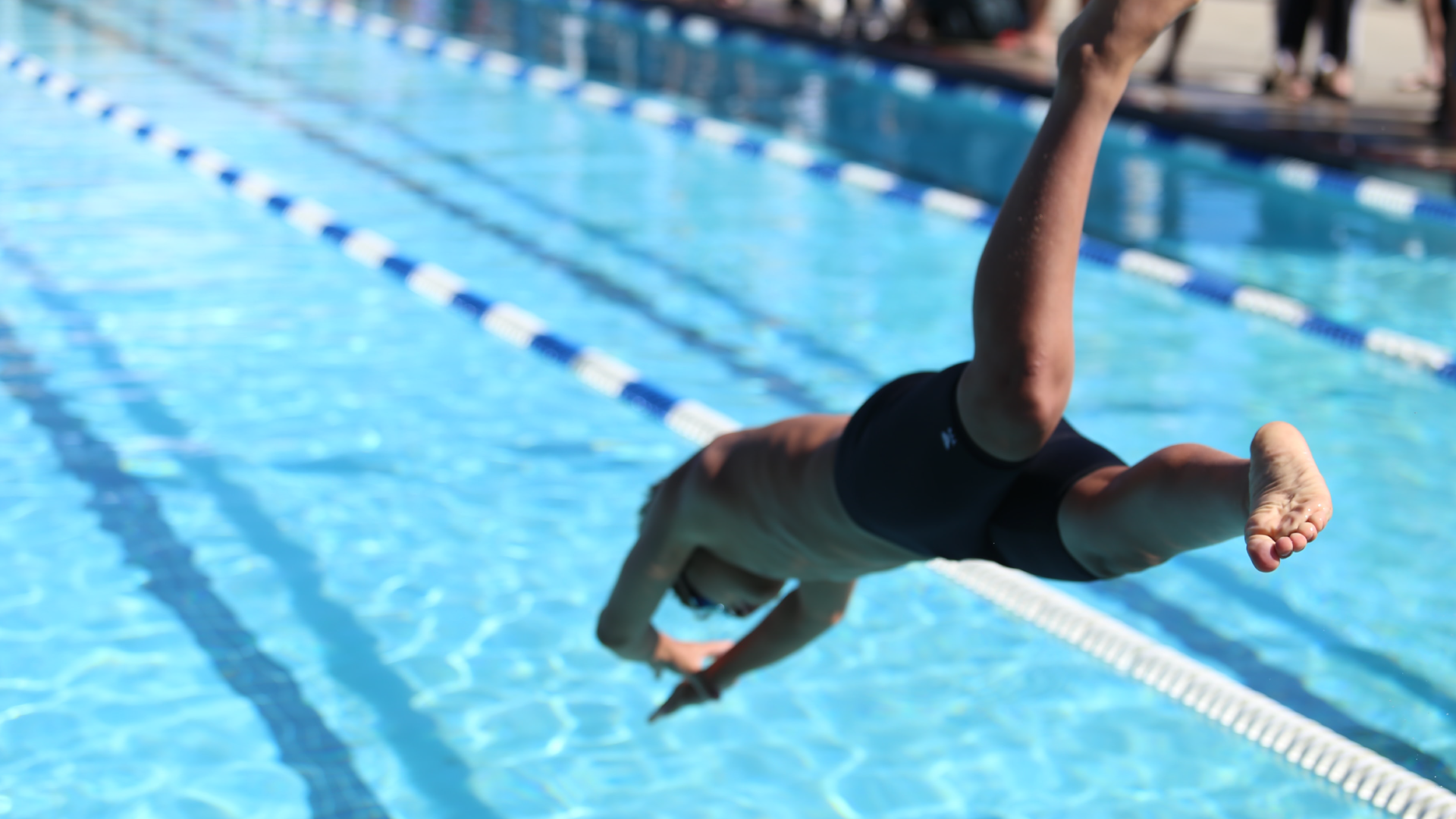 swimmer diving into pool