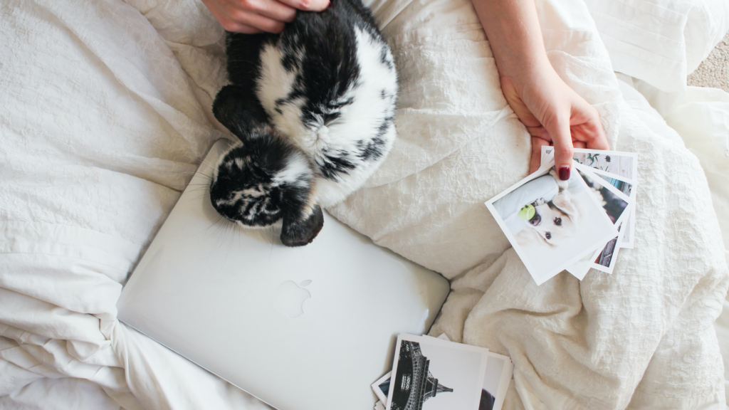 bunny and computer and photos held by hand on bed