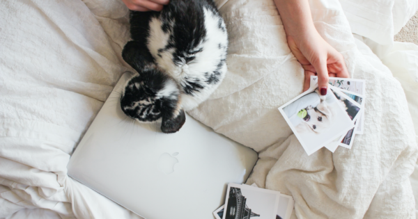 bunny and computer and photos held by hand on bed