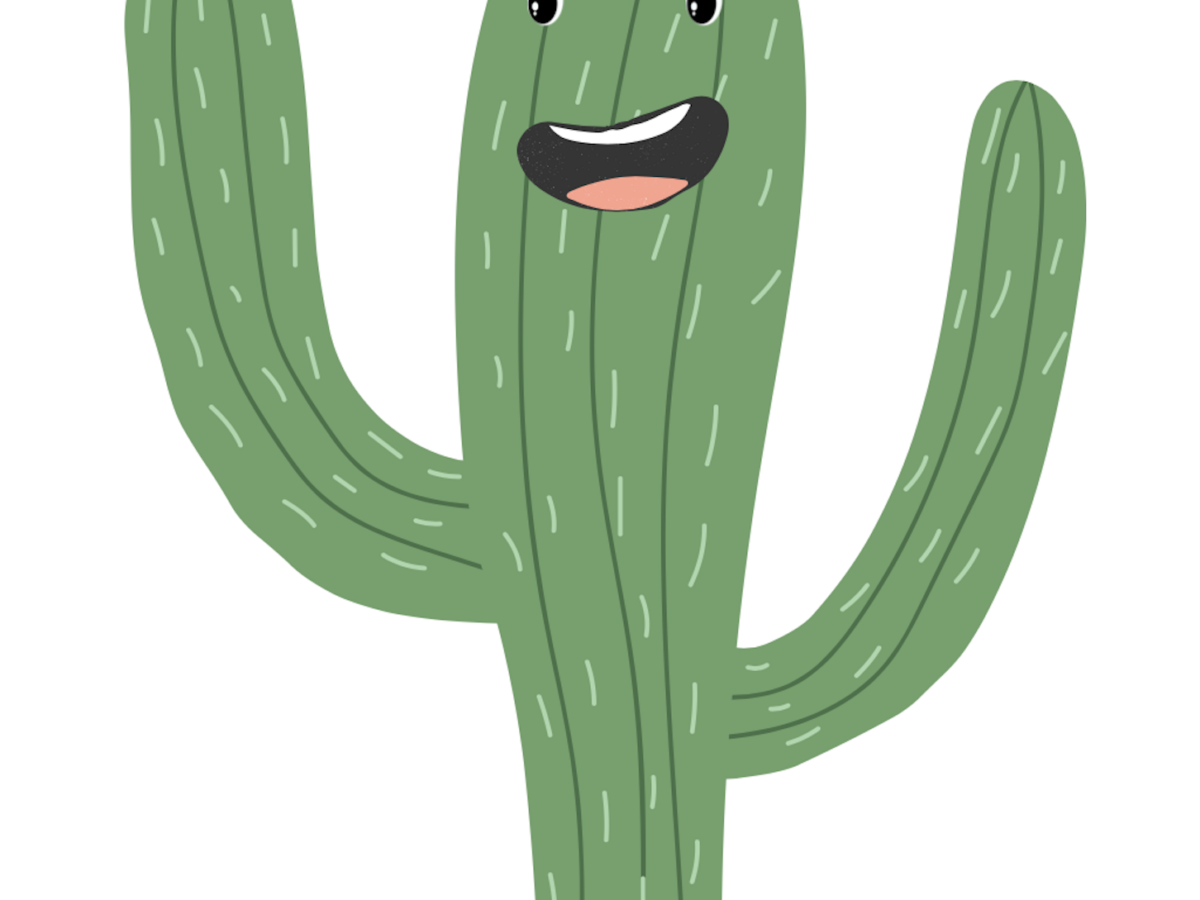 Take Flat Cactus On Your Adventures! - Cactus Cancer Society