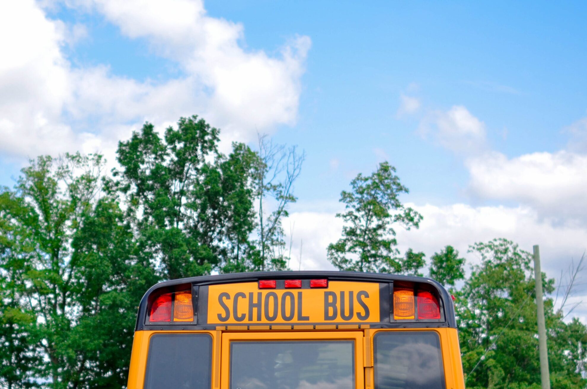A schoolbus rear with green trees, a blue sky, and fluffy clouds above.