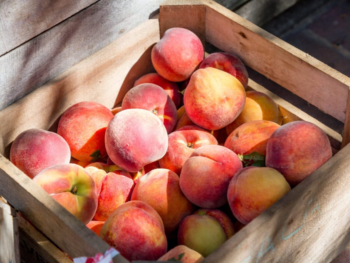 A wooden crate filled with peaches sit in dappled sunlight.