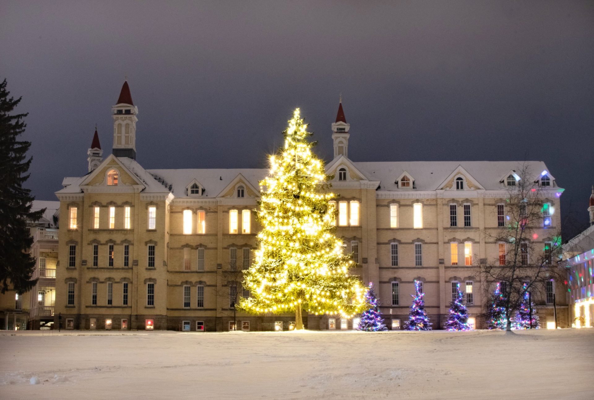 A large Christmas tree with white lights and several smaller trees with colored lights are seen in front of a three story white hospital in the snow.