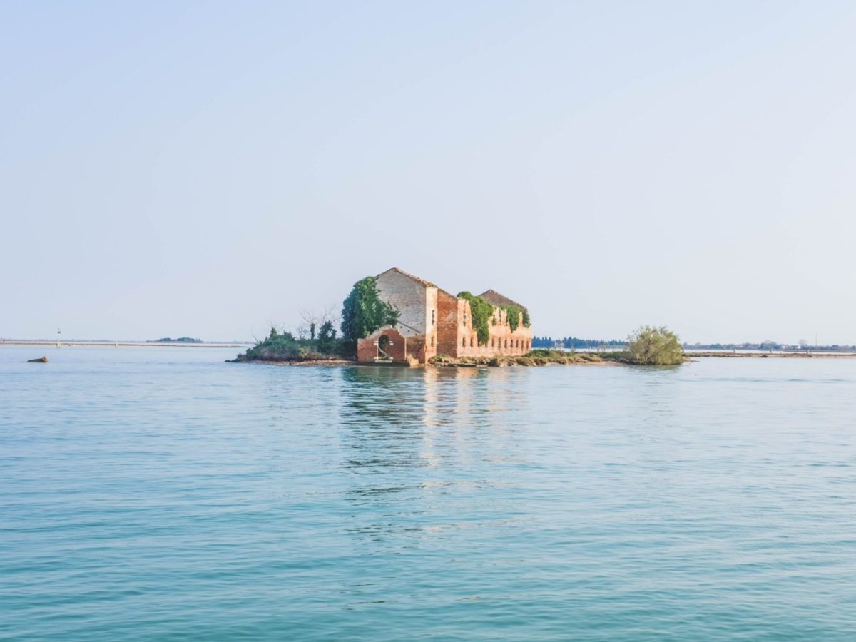 A house, overrun with ivy, stands in the middle of an ocean.