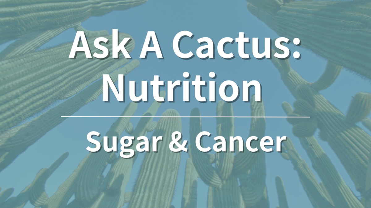 Ask a Cactus What's Up With Sugar and Cancer?! Cactus Cancer Society