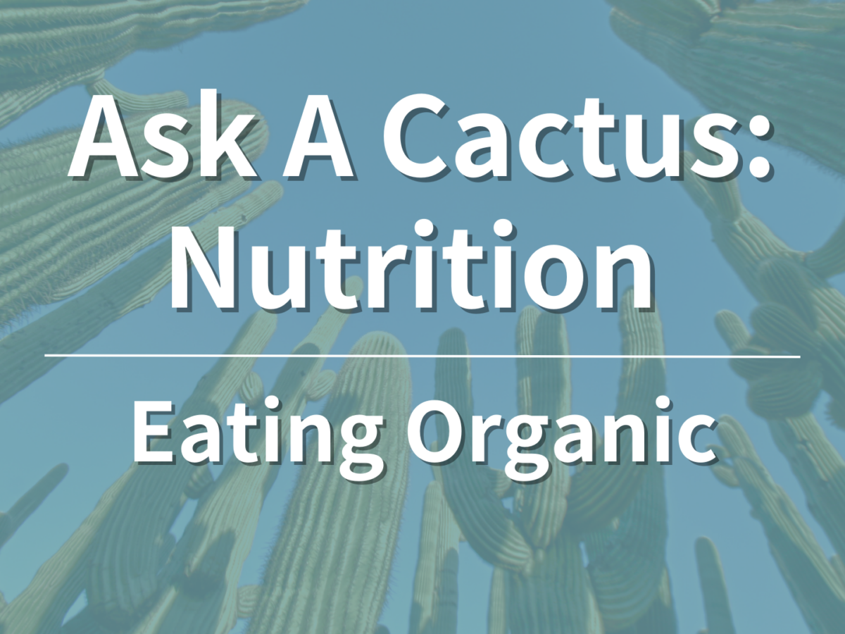 Blog Cactus Cancer Society