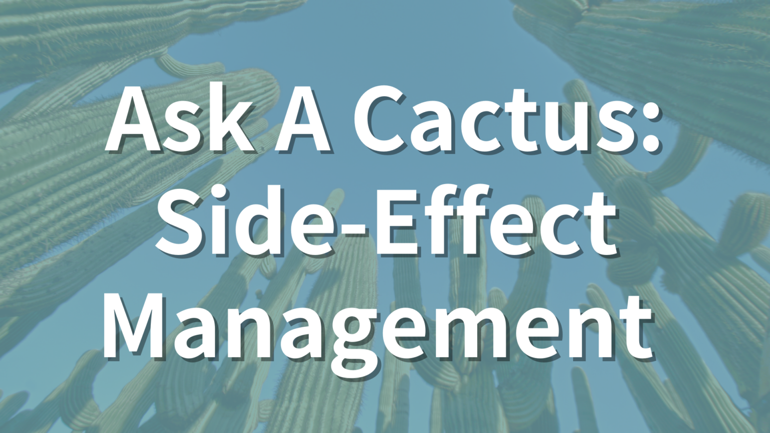 Ask a Cactus Side Effect Management Cactus Cancer Society