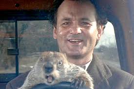 Groundhog Day, 1993